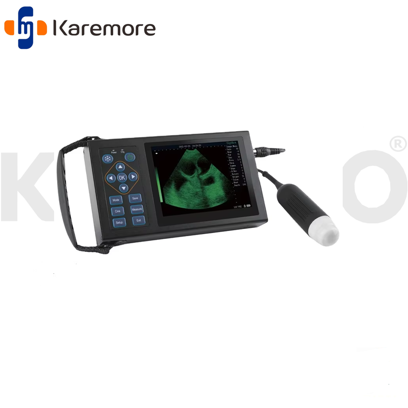  P4002 Cheapest Portable Ultrasound Machine for Sale Veterinary Instruments