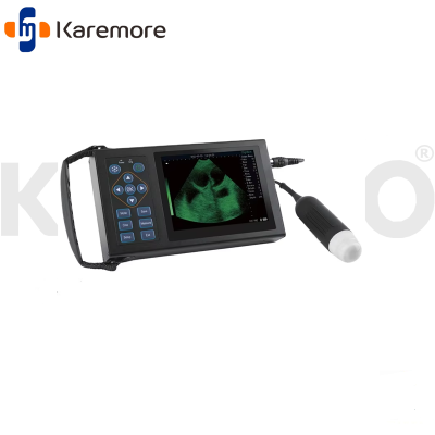  P4002 Cheapest Portable Ultrasound Machine for Sale Veterinary Instruments